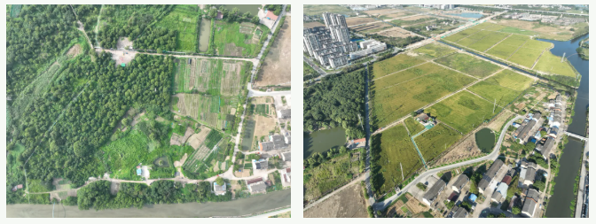 青陽鎮：系統推進環境整治，助推鄉村提“顏”增“質”